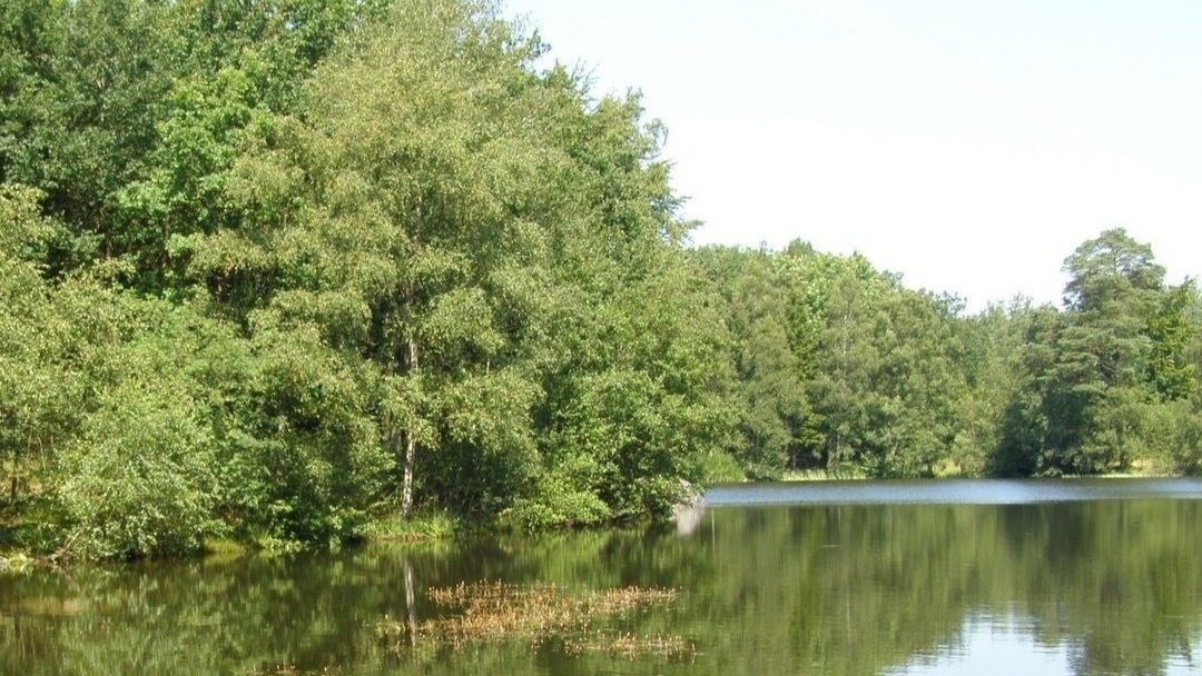 Store Grankule sø på Bornholm