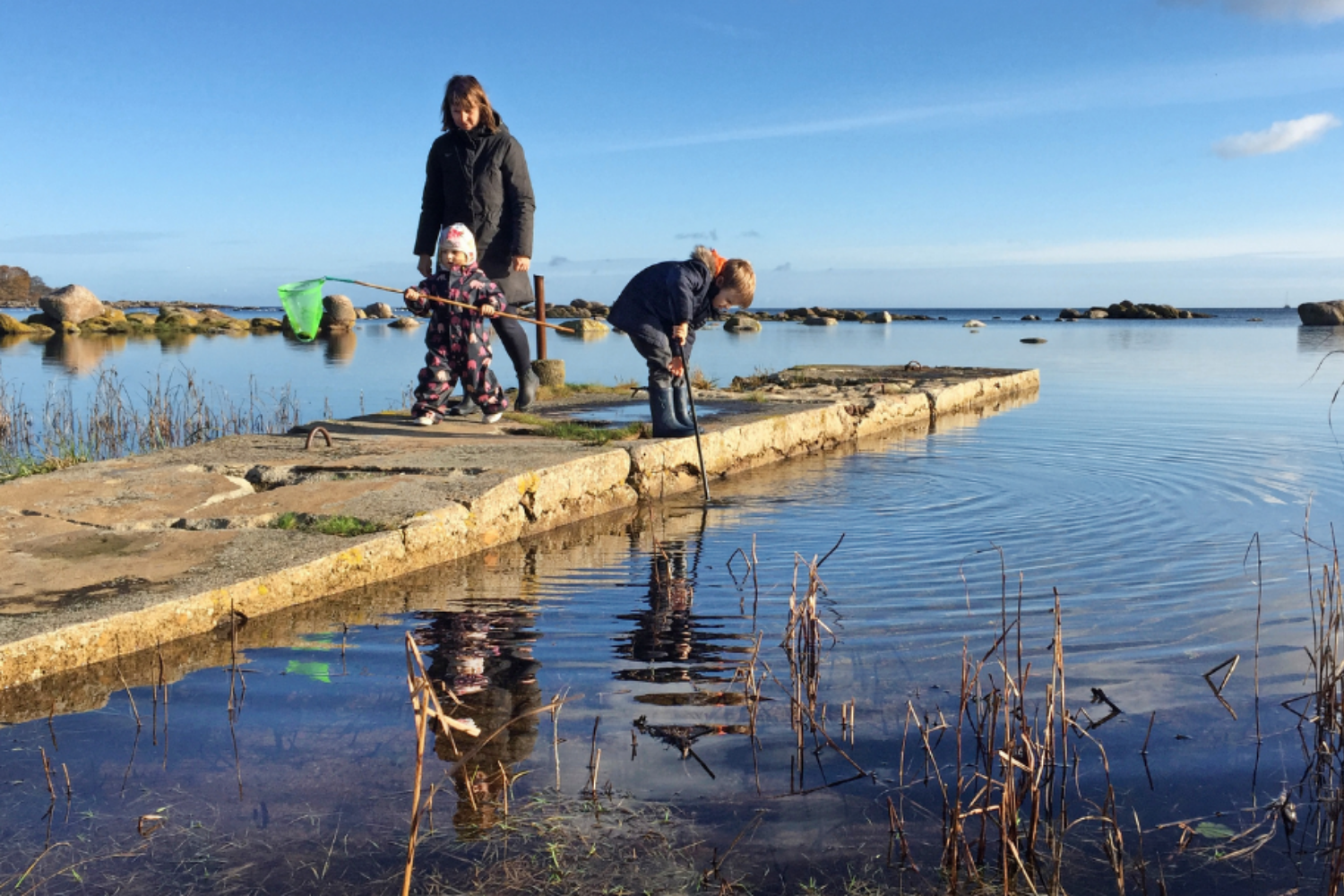 Gule huse ved Hasle Havnefront - hvor vil du helst bo på Bornholm?